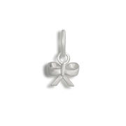 Take a Bow Charm