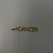 Zodiac Charms