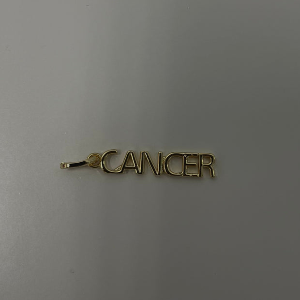 Zodiac Charms