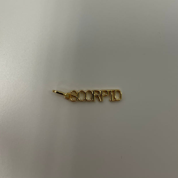 Zodiac Charms