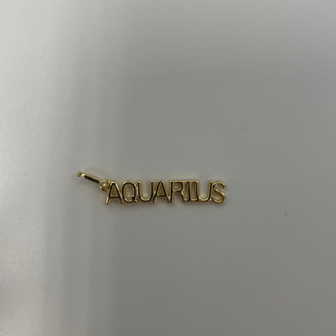 Zodiac Charms